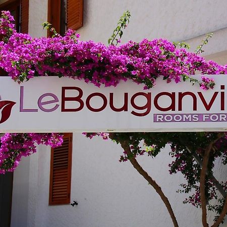 Le Bouganville Vieste Luaran gambar